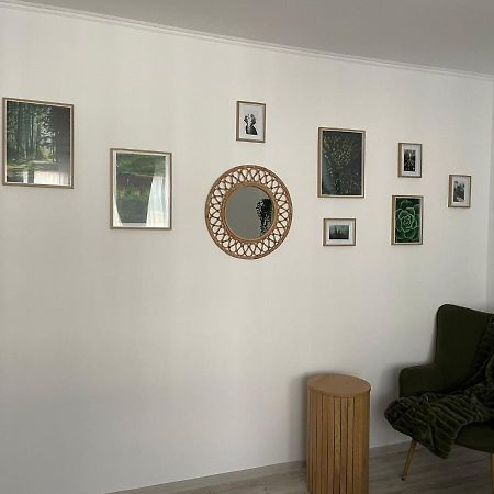 טימישוארה Carol Apartament'S מראה חיצוני תמונה