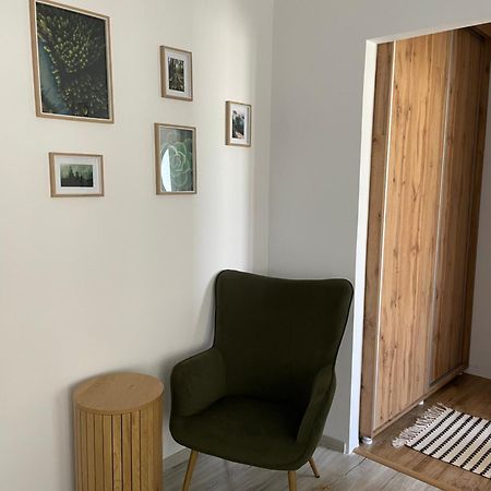 טימישוארה Carol Apartament'S מראה חיצוני תמונה