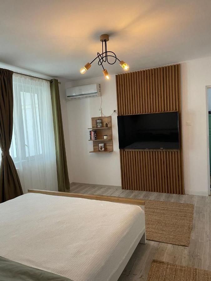 טימישוארה Carol Apartament'S מראה חיצוני תמונה